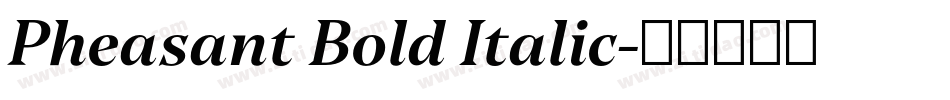 Pheasant Bold Italic字体转换